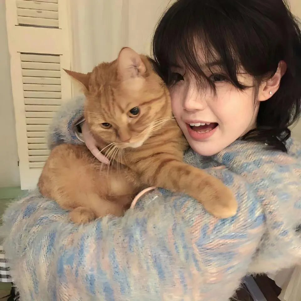 猫贼